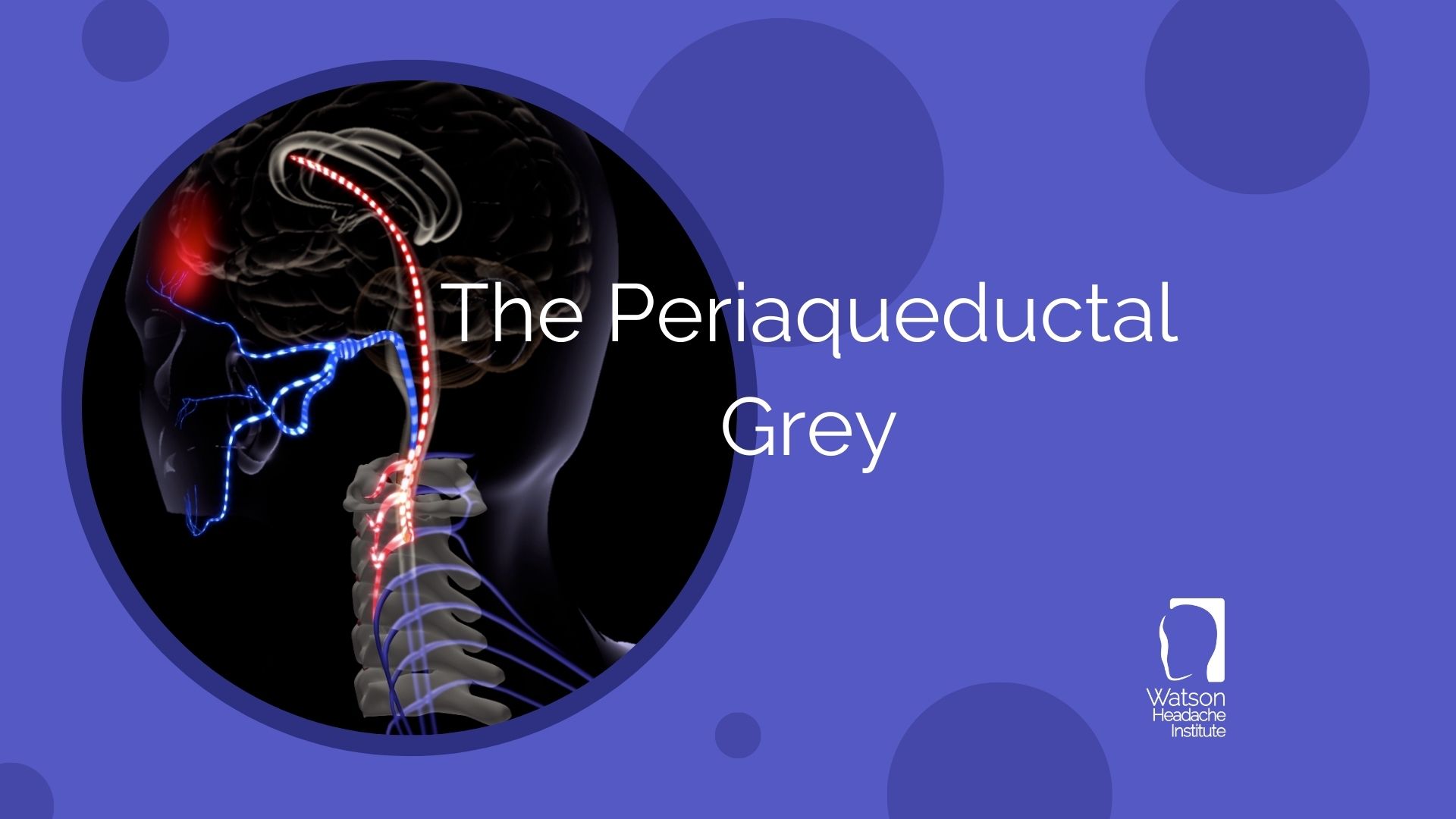 Commentary -The Periaqueductal Grey